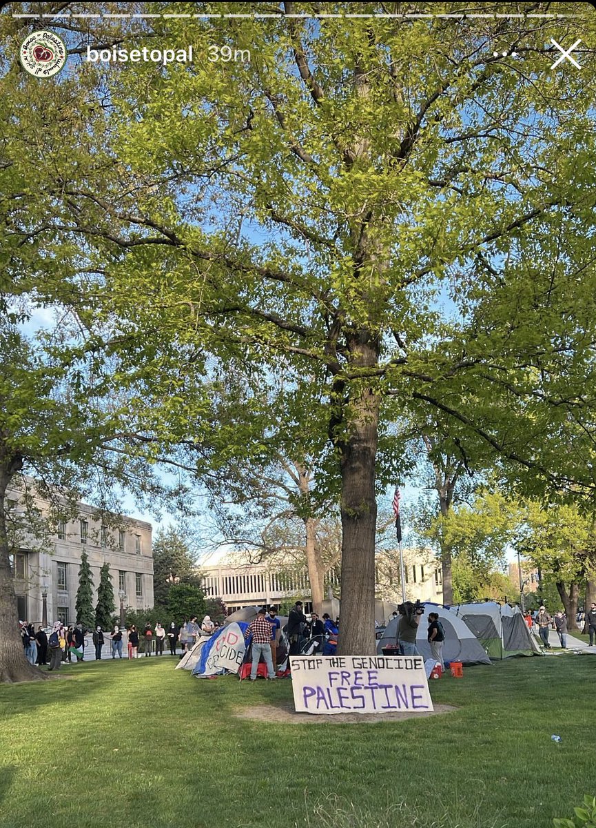 looks like tents are up in boise for a free palestine. it’s happening everywhere ❤️🇵🇸