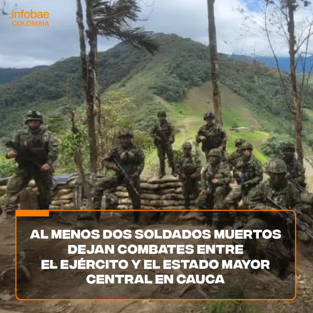 💥Los enfrentamientos se registran en zona rural de los municipios de Argelia y Toribío, #Cauca. Conozca cuál es la situación de orden público en el departamento 📲 infob.ae/3wvLDg2