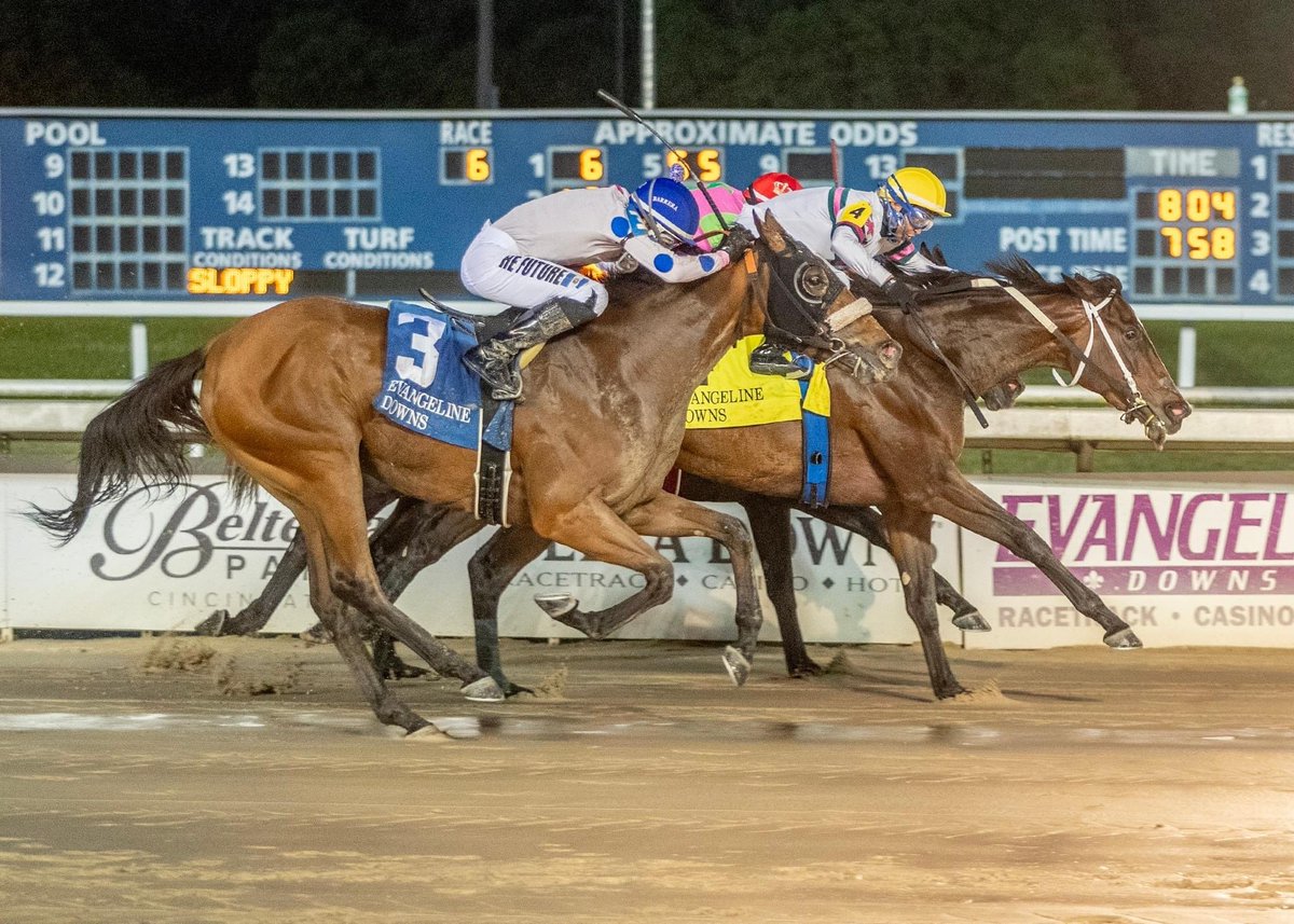 EMILY'S BULLET under Elio Barrera runs a great race to get second in the $60,000 Cajun Miss Stakes tonight at Evangeline. 📸 Hodges Photography