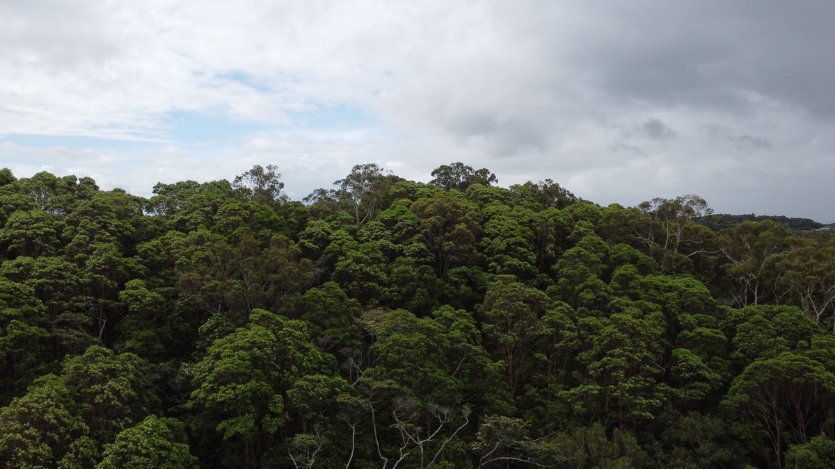 Leah Barclay tweet media