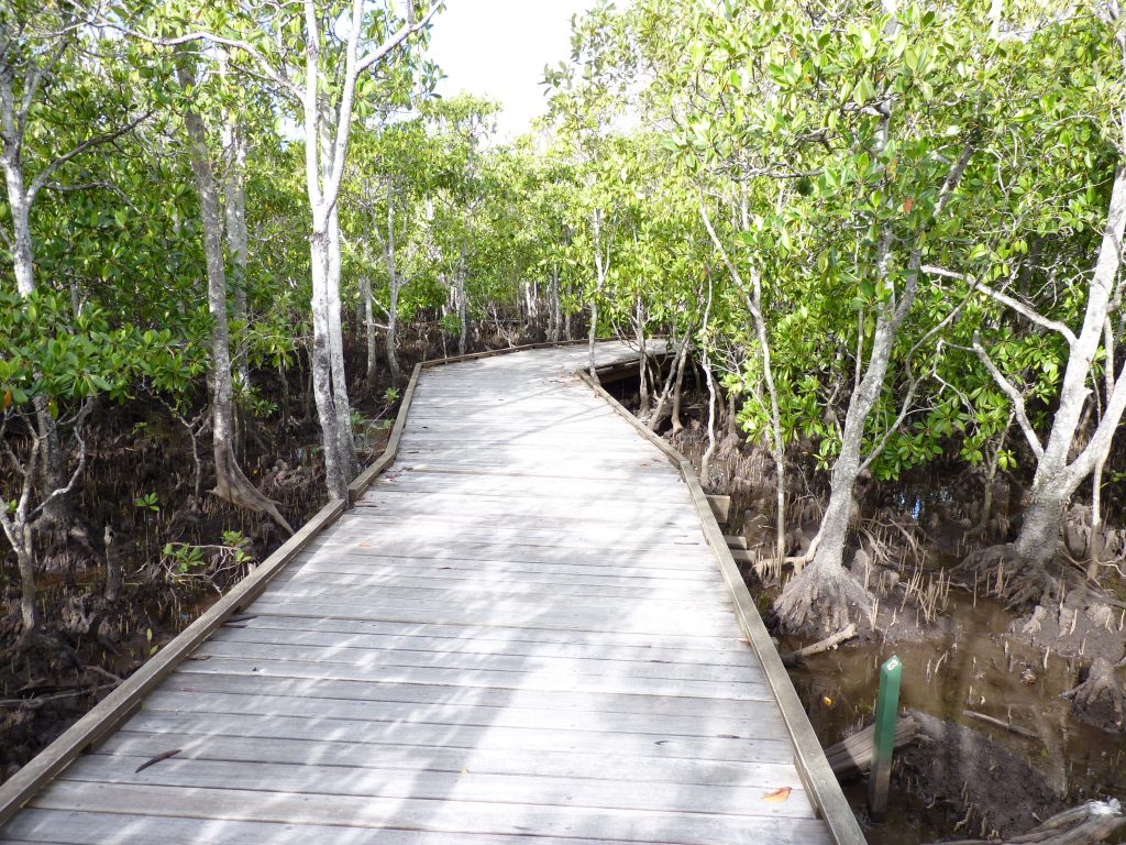 Leah Barclay tweet media