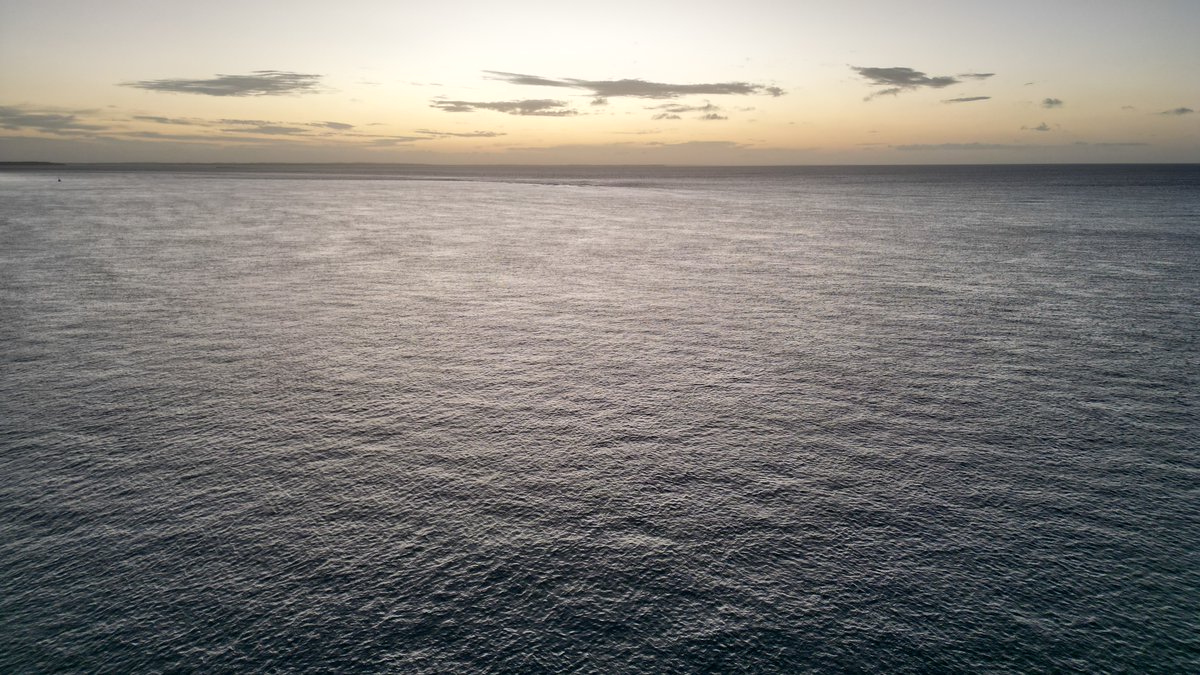 Leah Barclay tweet media