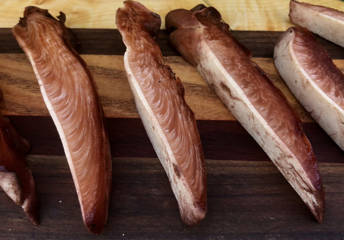 Beefsteak fungus (Fistulina hepatica) looks remarkably similar to raw meat. It’s also edible but can have a sour, slightly acidic taste. Who’s tried it and how’d you prepare it. Personally, happy I tried it but won’t seek it out again.