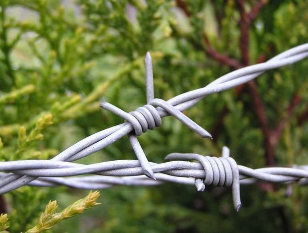 Barbed wire, also known as bob wire, is made of carbon steel, aluminum alloy steel or stainless steel. 
buff.ly/3UfSEdW 
#fence #wiremesh #358fence #steelmesh #metalsheet #gabionbasket #windowscreen #constructionmaterials #civilengineering
