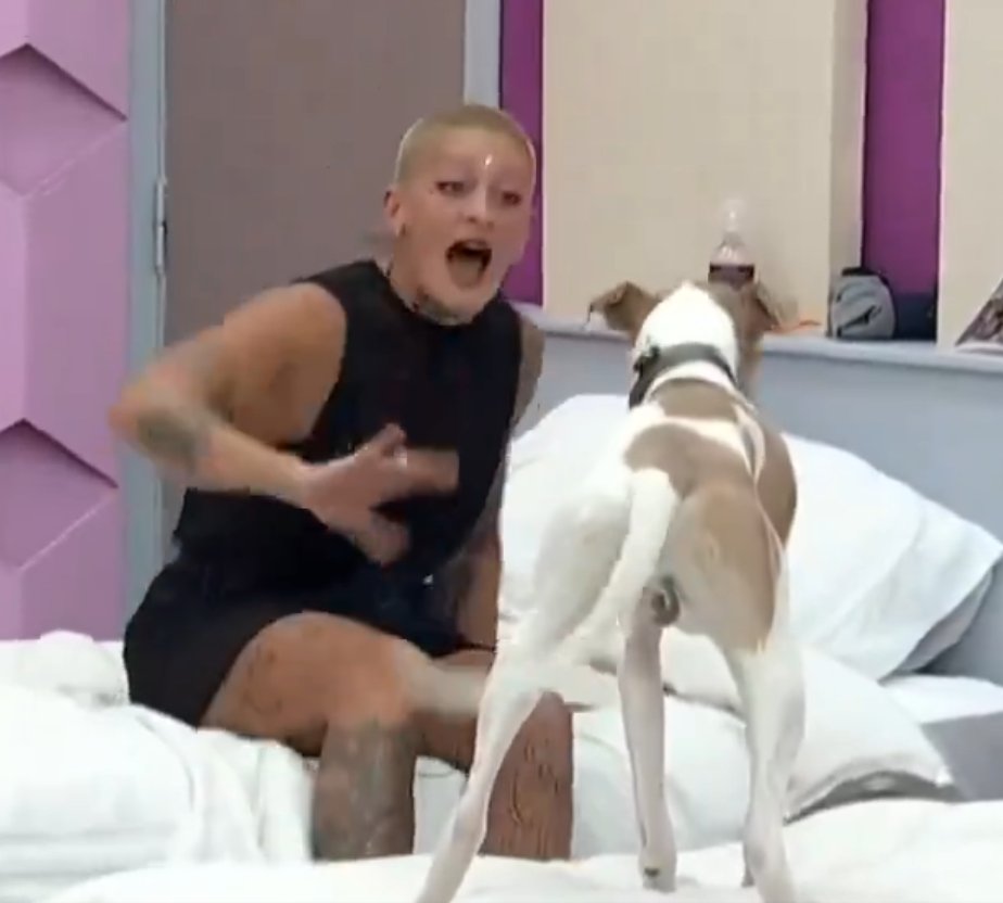 EmiNicole22's tweet photo. HACELA CAGAR ARTURITO
#GranHermano https://t.co/6VG3CLJRO9