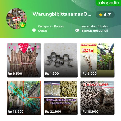 Semakin mudah belanja produk WarungbibittanamanOlshop di Tokopedia. Cek aja, pasti ada yang kamu suka
tokopedia.link/yusufzainalqub…