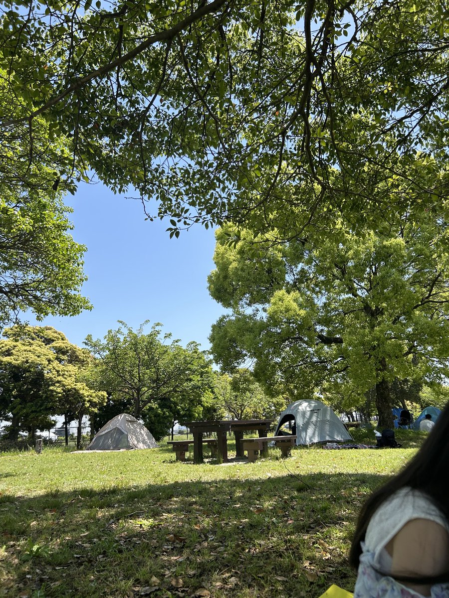 家族で、公園に来てます
　木陰にシートを敷いて昼寝中