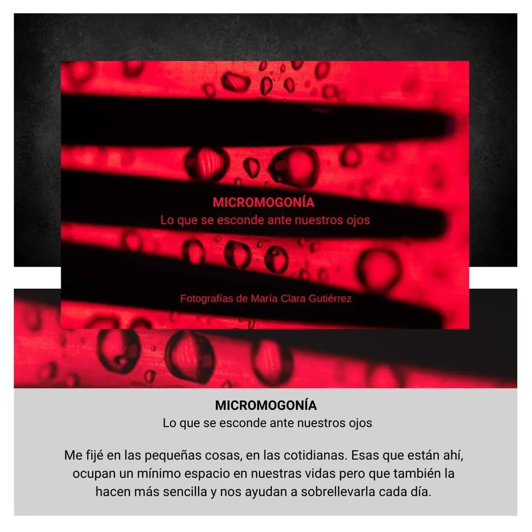 MICROMOGONÍA - lo que se esconde ante nuestros ojos, en el Pabellón Azul, Stand 156 de @imprentaservicop, en la Feria del Libro de Buenos Aires!  Firmaré libros el 4 de mayo de 2024, a las 18h, ¡Los esperamos!
