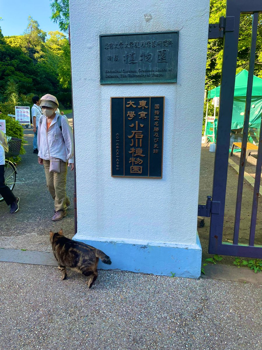 小石川植物園へ
桜の季節には播磨坂によく見に行くんだけど、新緑も良かった
広大な敷地に沢山の植物
静かで木々の匂いと鳥の声
東京はどこも外国人観光客だらけなのに
ここはまだ知られてないのかほぼいない
東京なのに自然の静寂を味わえる
脳も目も足腰も癒された😆

#小石川植物園