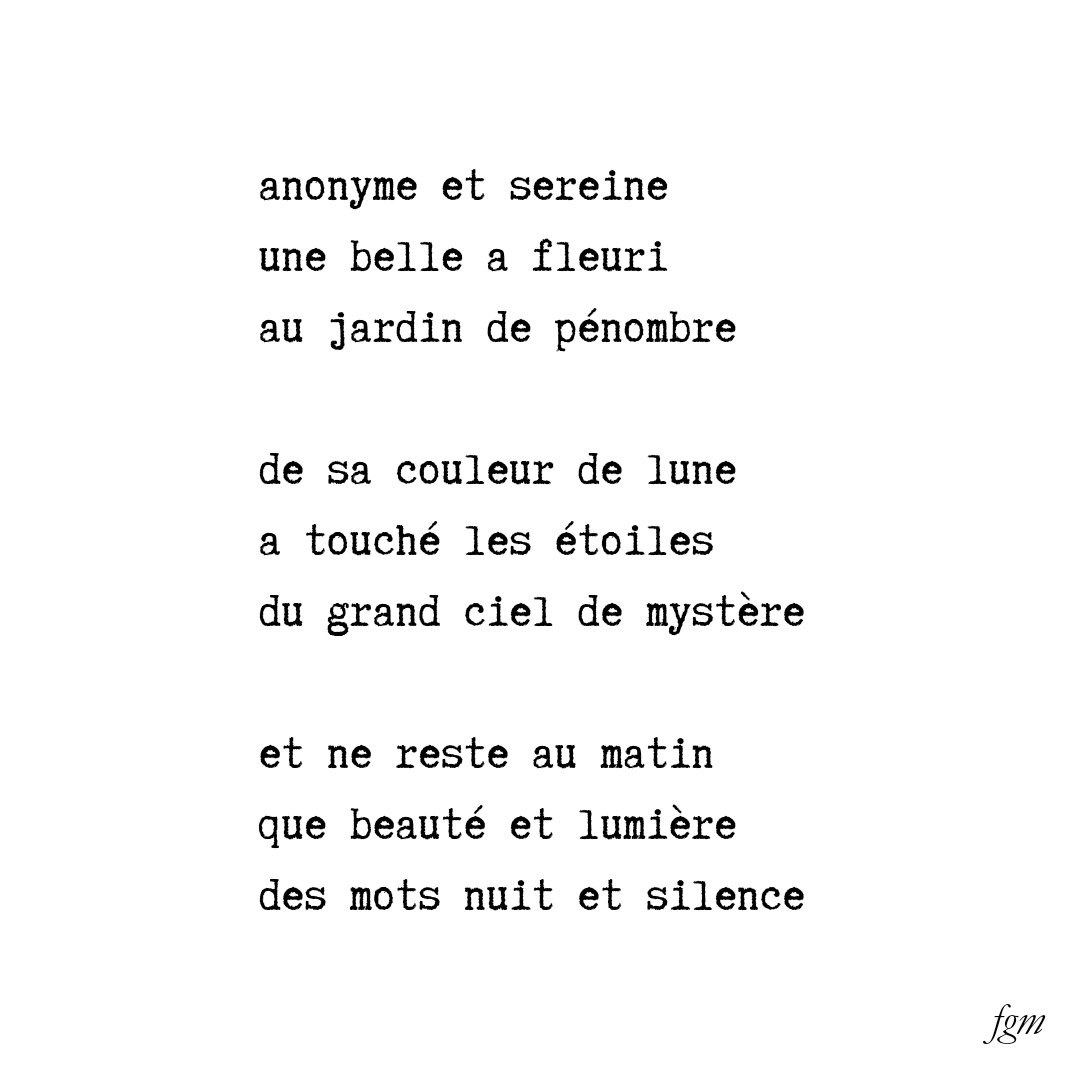 #poésie #poetry BELLE DE NUIT