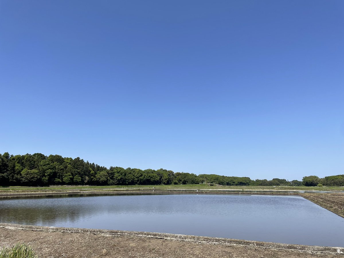 でっかい空