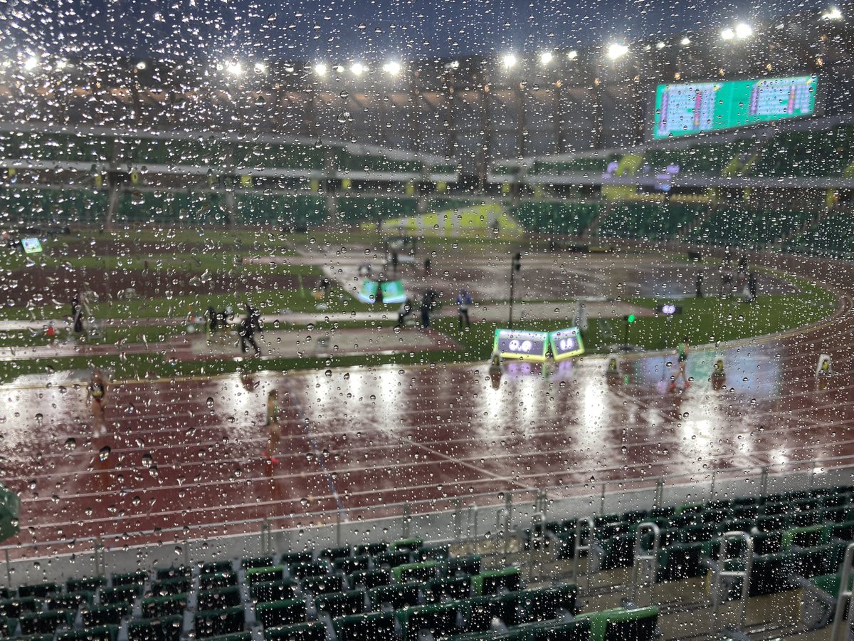 It’s the kind of night at Hayward when they won’t really need to fill up the water jumps for the steeple.