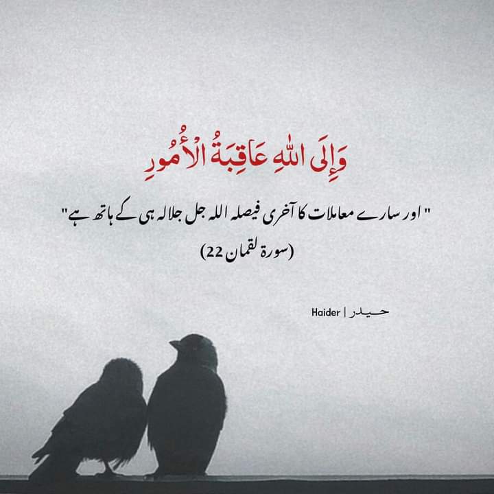 اسلام علیکم ورحمۃ اللہ وبرکاتہ صبح بخیر