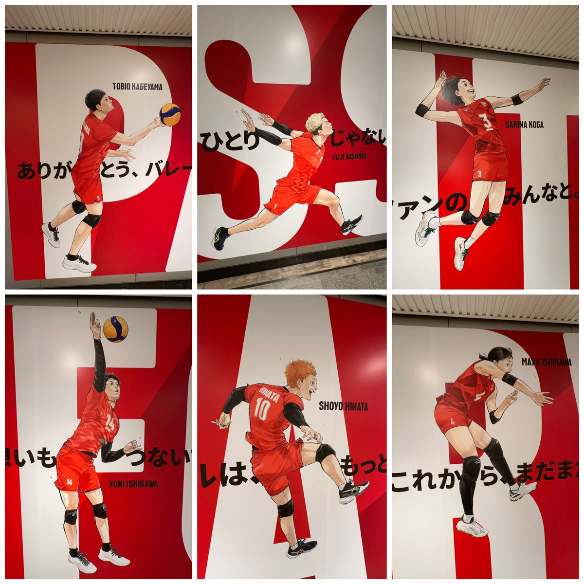 Heine_Aegis's tweet image. やったー！！(*・∀︎・)ゞ
日本代表の皆様にエールを！🏐

#PASSITFORWARD #影山飛雄 #西田有志 #古賀紗理那 #石川祐希 #石川真佑 #日向翔陽 #バレーボール日本代表 #volleyball #バレーボール #ネーションズリーグ 🏐