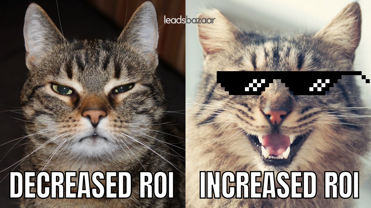 😁 😁 - (leadsbazaarllc.com)
#ROI
#MarketingMemes
#BusinessHumor
#DigitalMarketing
#SocialMediaMarketing
#EntrepreneurLife
#ContentMarketing
#BrandHumor
#DataDriven
#SalesHumor
#BusinessStrategy
#ROIHumor