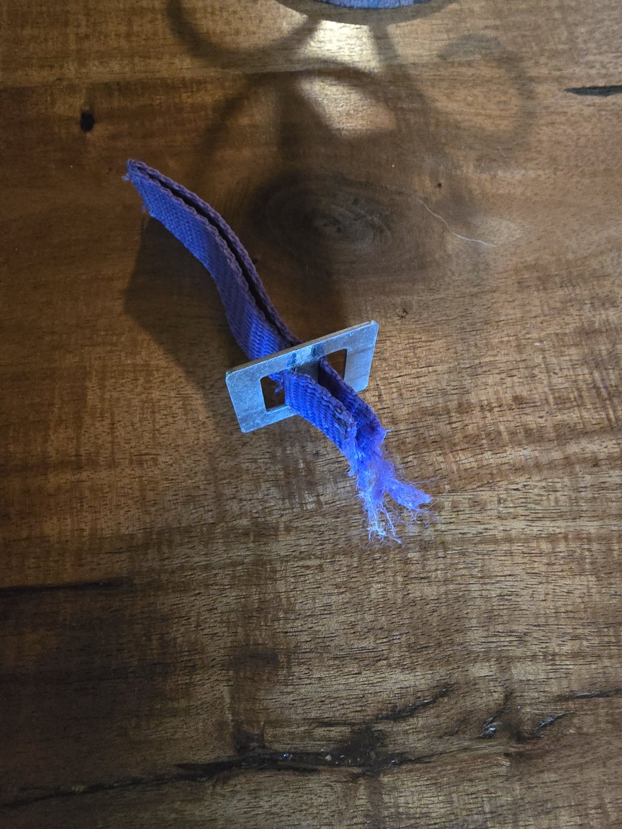 Terri morfin tweet media