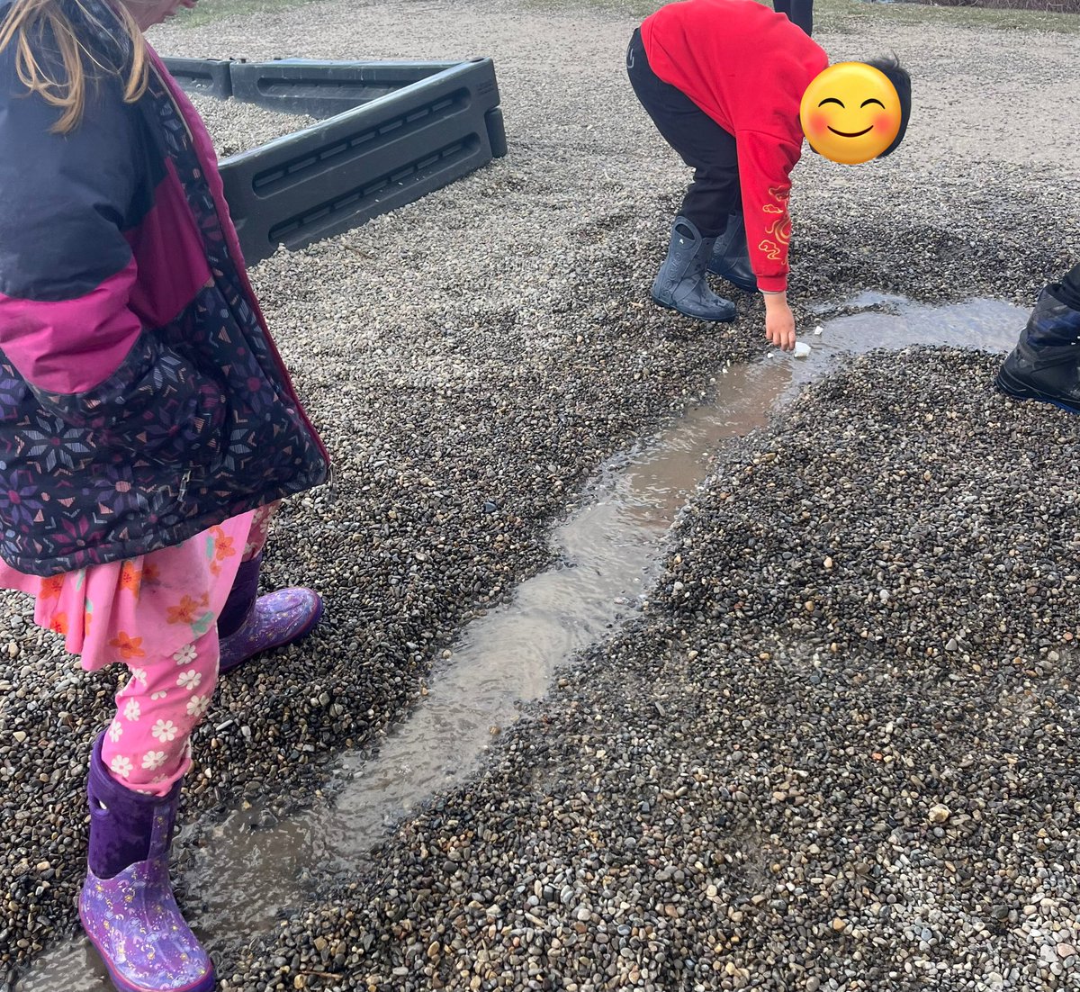 BPSHawks2 tweet media