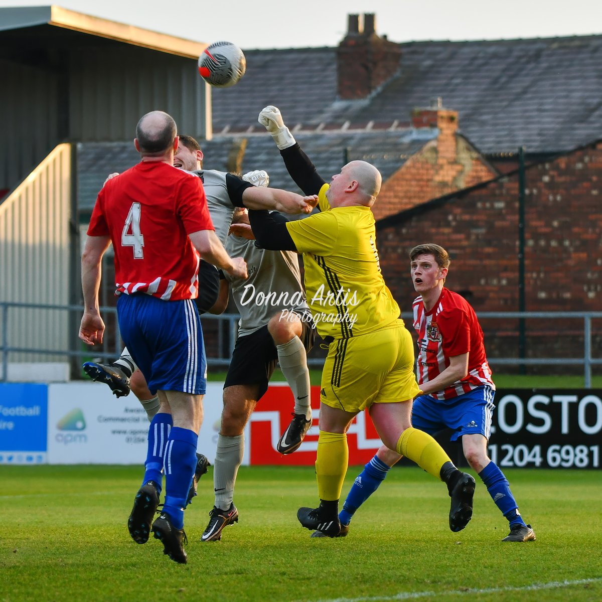 Donna Artis Photography tweet media