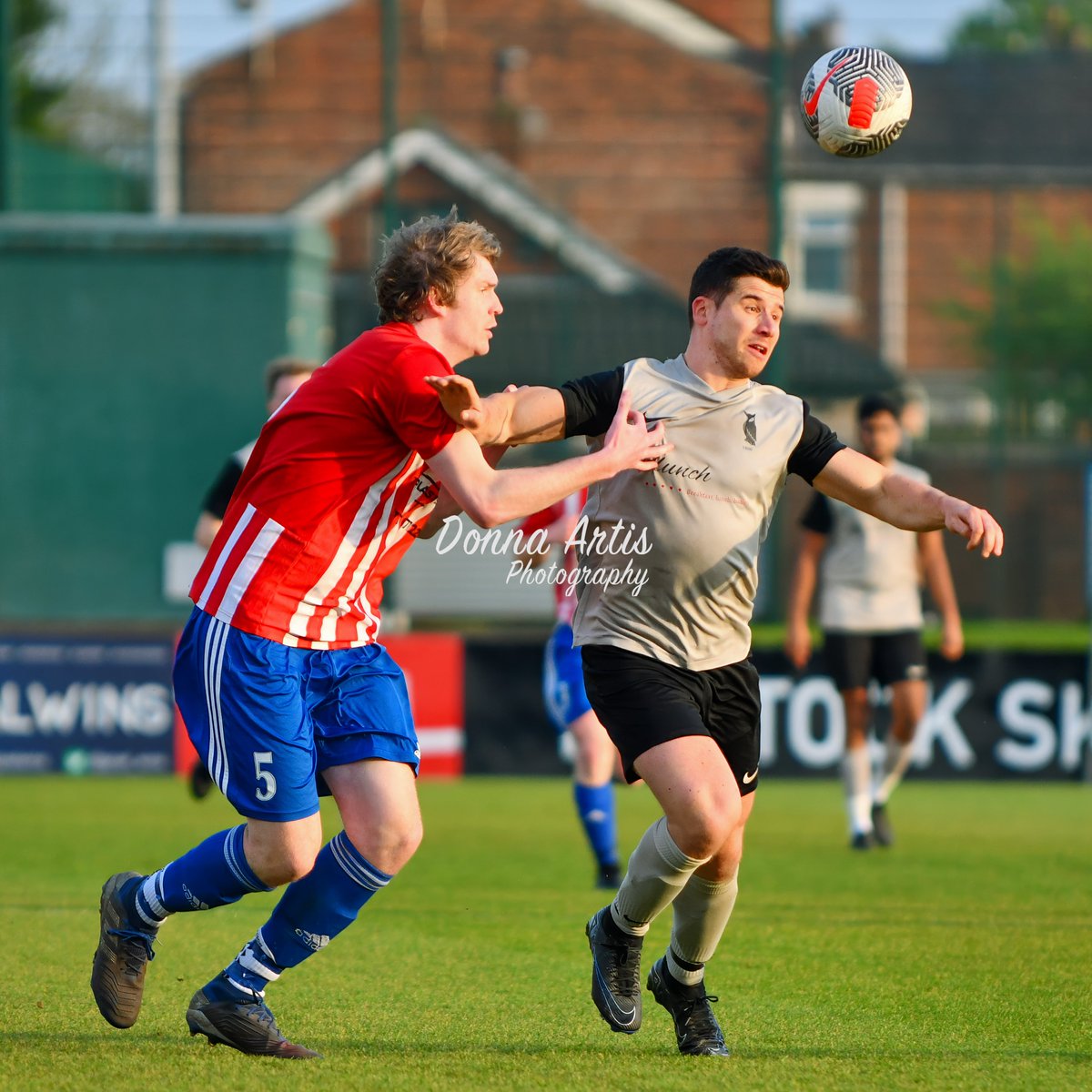 Donna Artis Photography tweet media