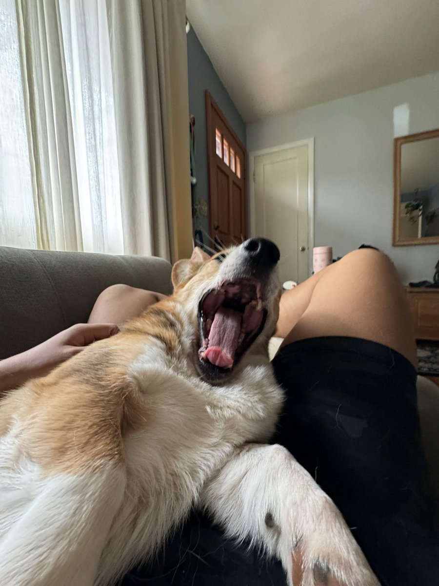 POV: your human just came back from a long run and it’s an absolute bore fest to hear about