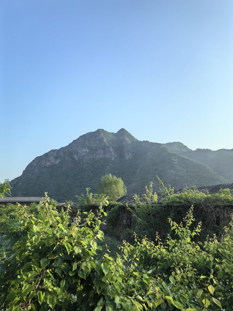 Debra1943 tweet media