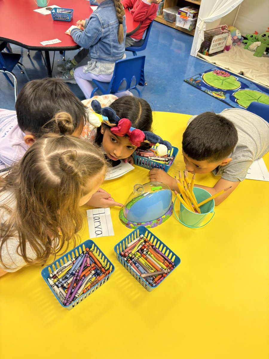 MsZuvela's tweet photo. Students observe the larva in Ladybug Land, the habitat where we will soon witness a magical transformation! @SearingtownK5 https://t.co/8GySw0xPHR