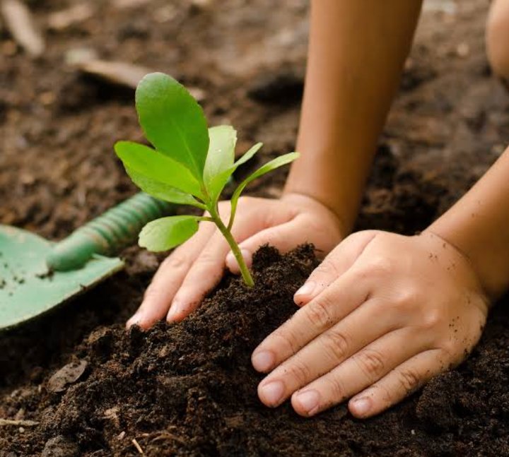 Here are some benefits of planting trees.
-Reducing Climate Change
-Purifying Air
-Cooling Down the Streets
-Natural Air Conditioning
-Saving Water
-Preventing Water Pollution
-Providing Shelters for Wildlife
-Renewable Energy Source
#environmentgo #trees #climatechange