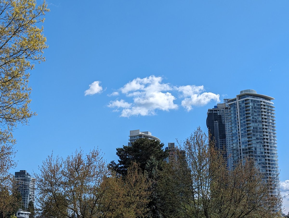 CleanUpBurnaby's tweet photo. 2024 #CleanUpEverywhere Campaign Update, Day 73

AREAS CLEANED UP: 
#Burnaby - west side of Gilmore Avenue + Willingdon Heights Park 

PICKED UP:
- 2 pounds of garbage [YTD: 452 lbs]
- 5 face masks [YTD: 124] https://t.co/bCI6bfc8v8
