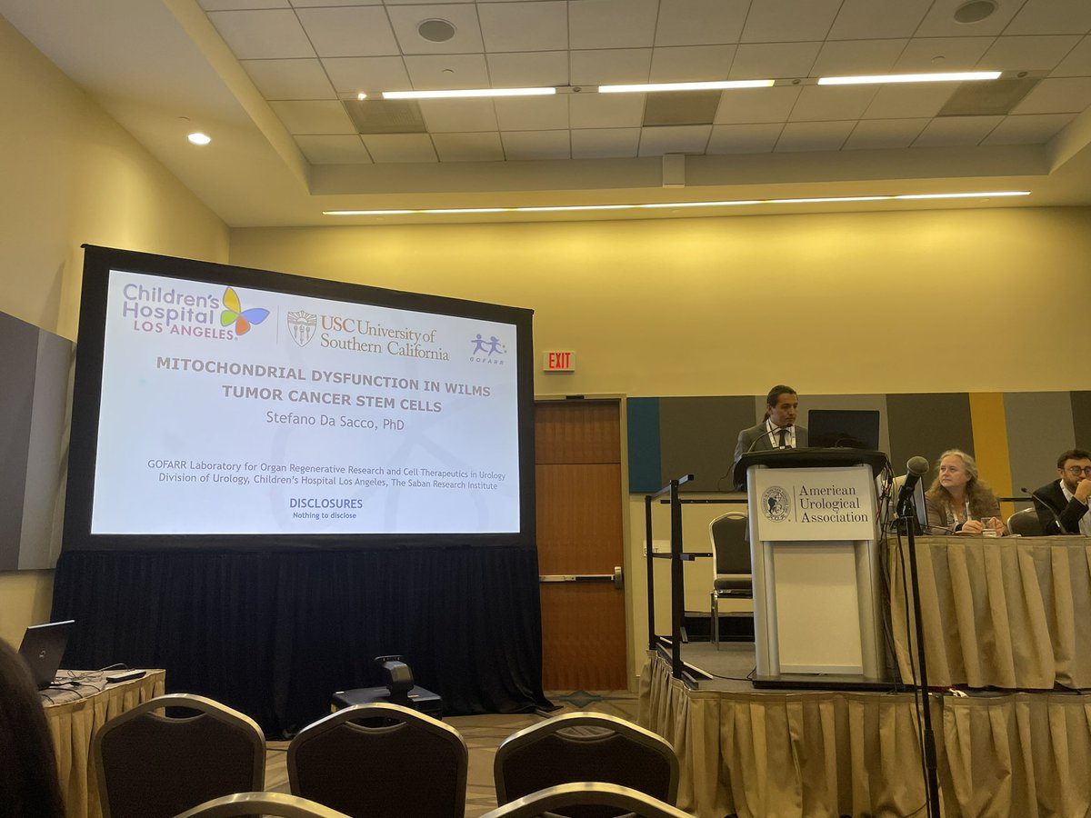 Roger De Filippo tweet media