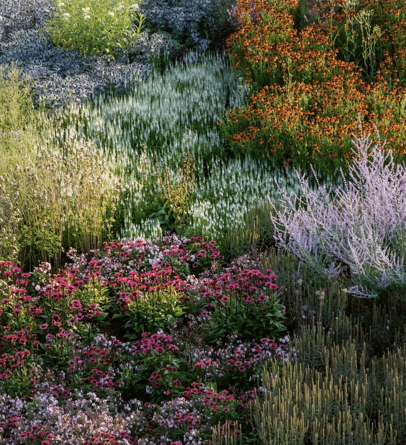 MPrinParr's tweet image. Mowed grass landscapes are so bland.
Perennial Gardens of Piet Oudolf