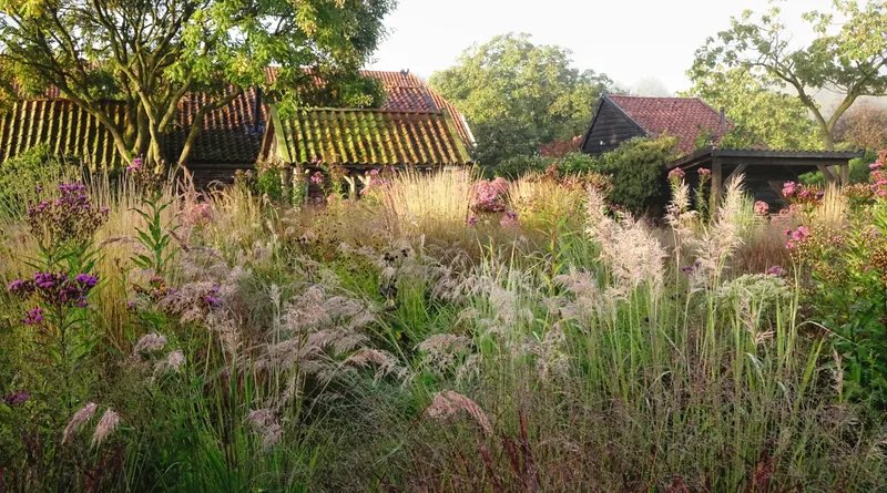MPrinParr's tweet image. Mowed grass landscapes are so bland.
Perennial Gardens of Piet Oudolf