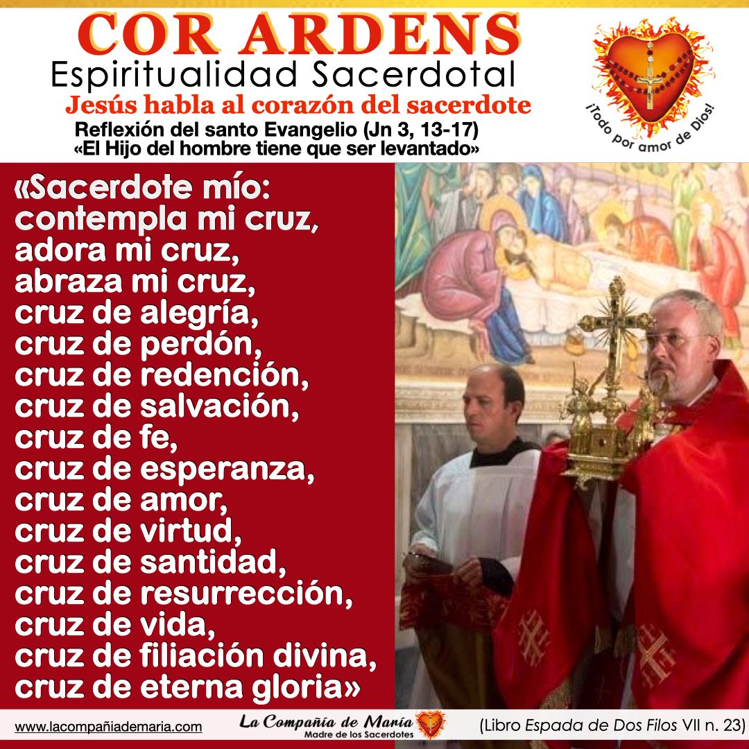 Oramos por todos los sacerdotes, para que la Palabra de Dios, que es como espada de dos filos, haga arder sus corazones. 🙏 #sacerdote #iglesiacatolica #lacompañiademaria #evangelio #oracion #maternidadespiritual @IglesiaMexico @ArquidiocesisT