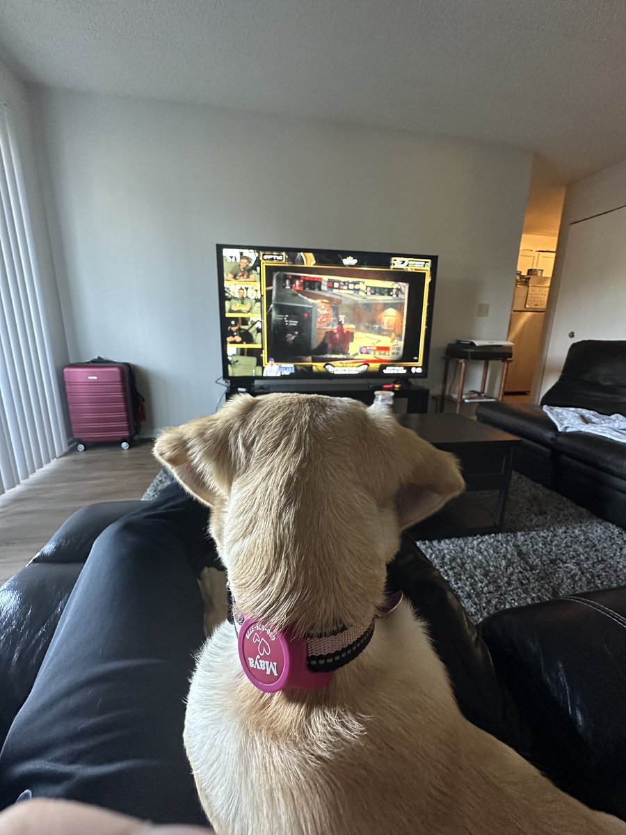 FloppShot's tweet photo. @BreakdownPod @CordaRoys @OpTic @OpTic @CordaRoys Maya loves the watch parties https://t.co/Z2JHKAgLR1