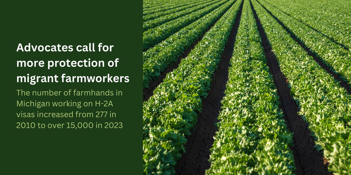 H-2A visas allow farms that are struggling to hire U.S. workers to bring in temporary laborers from other countries greatlakesecho.org/2024/03/27/adv… #immigrants #farms #michigan #greatlakes