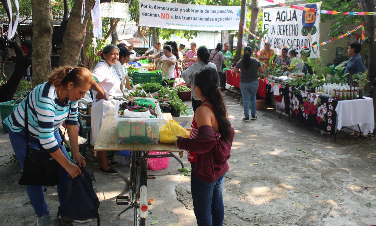 Este 3 de mayo grupos del Movimiento de Victimas Afectados/as por el Cambio Climático y las Corporaciones MOVIAC, realizaron la XV Feria Agroecológica de Intercambio de experiencias, semillas nativas y conocimientos ancestrales, y contribuir a la Soberanía Alimentaria.