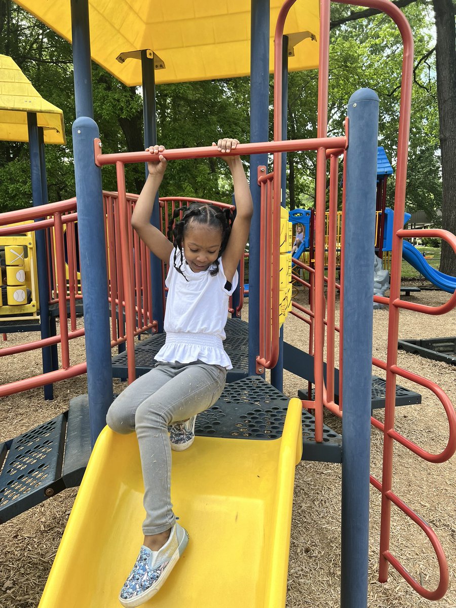 Danielle Pall tweet media