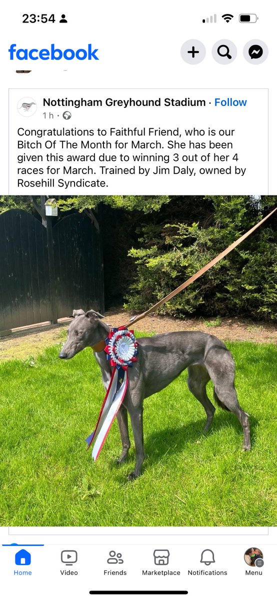 Jim Daly Racing (@jimdaly5) on Twitter photo 