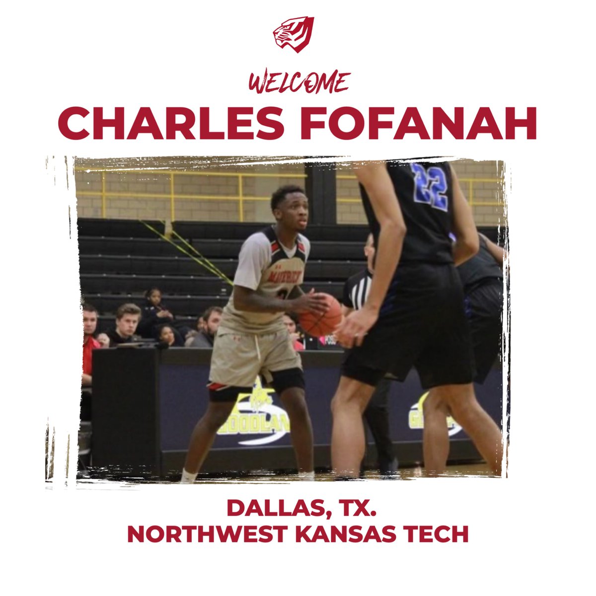 UWA_basketball's tweet image. 🚨 Newest addition to 🐅 basketball.  Join us in welcoming Charles Fofanah‼️ Get ready to witness some electrifying 🏀⚡️ #tigersdontlosesleep