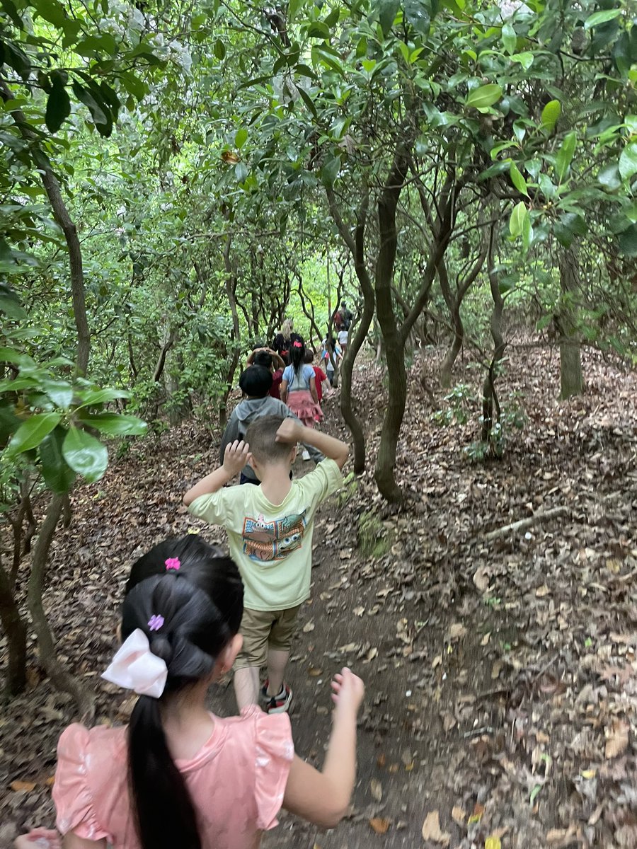 Ms. York tweet media