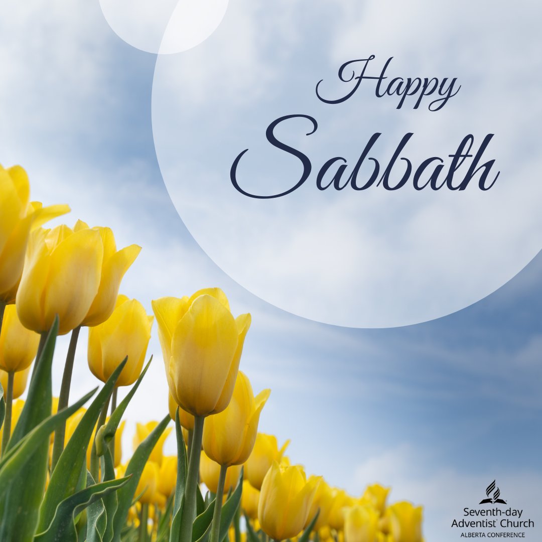 May it be a day of rest, reflection, and rejuvenation, filling your hearts with peace and gratitude.
Have a blessed Sabbath!
#happysabbath #odayofrestandgladness #ToGodbetheglory #perfectpeace #Godislove #joyfuljoyfulweadoreThee