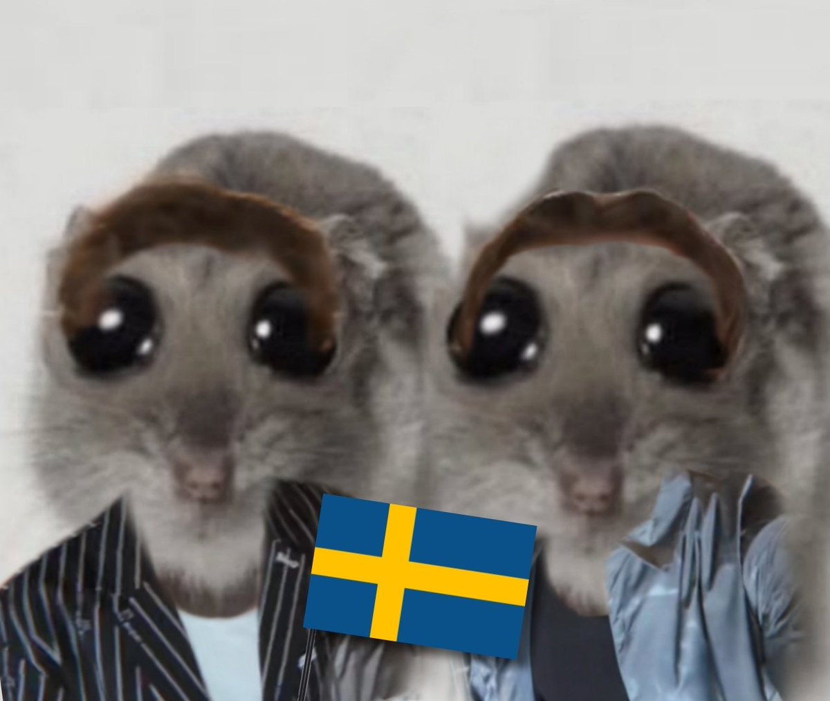 marcus & martinus sad hamster version yeehaw