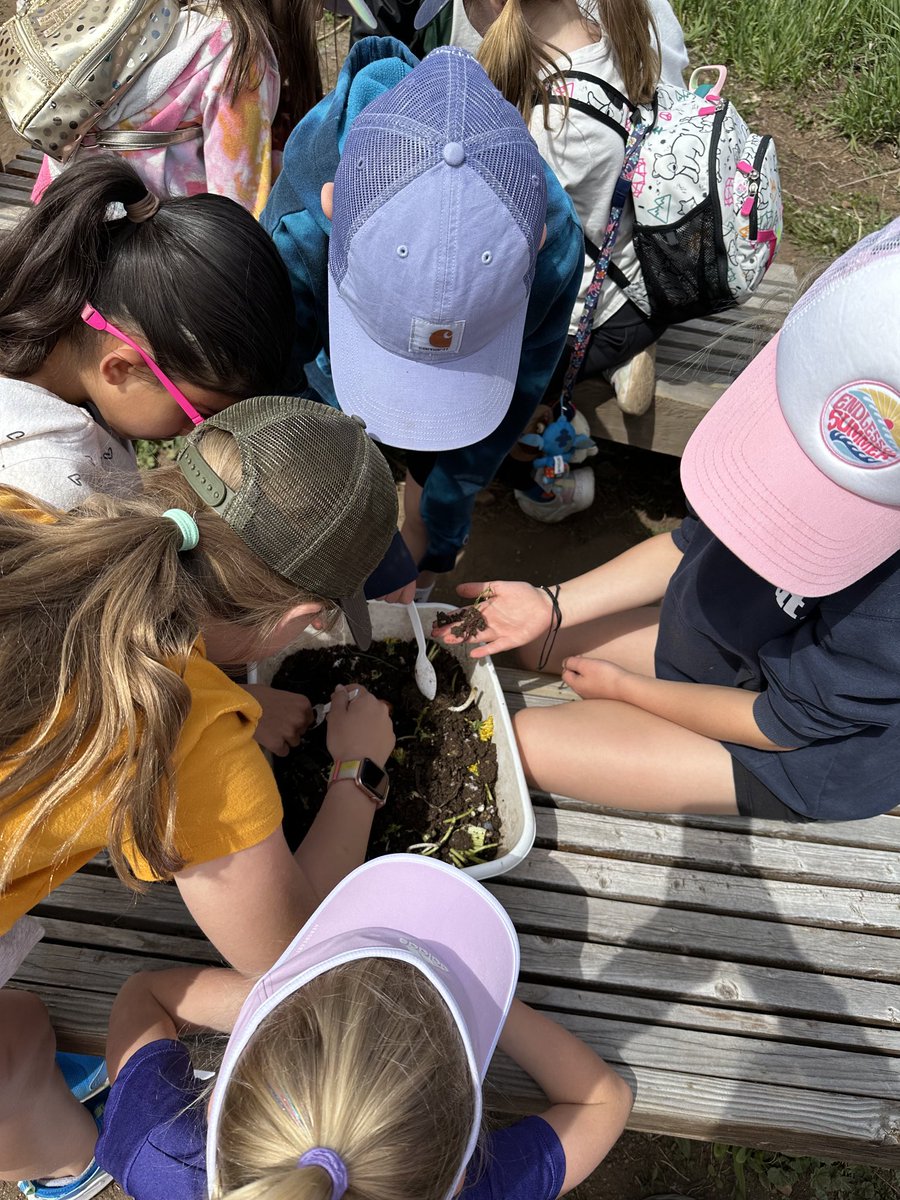 MrsConnors5's tweet photo. Great 2nd grade field trip to Growing Gardens!  We planted seeds, learning about red wigglers and composting, and visited with the honeybees. ⁦@HESHawksSVVSD⁩ https://t.co/o9Hdx3VkFd