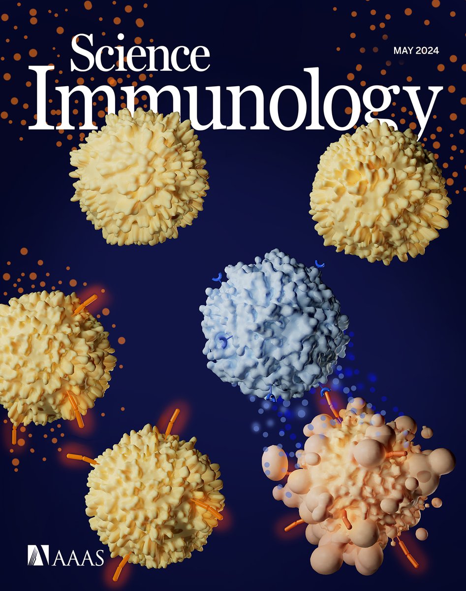 The May issue of @SciImmunology is out! This week: how #Th17 cells mediate #steroid resistance in #neuroinflammation; #OXPHOS → #BCell #cytokine secretion in #MS; & how #NKCells recognize & target activated #TCells to impede #cancer #immunotherapy 

bit.ly/SciImm_9_95