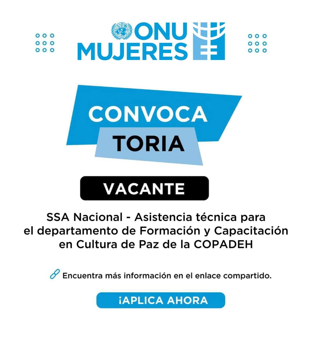 #Convocatoria 💻 SSA Nacional 📅 Fecha de cierre: 8 de mayo de 2024 Más información 📲📲📲 jobs.undp.org/cj_view_job.cf…