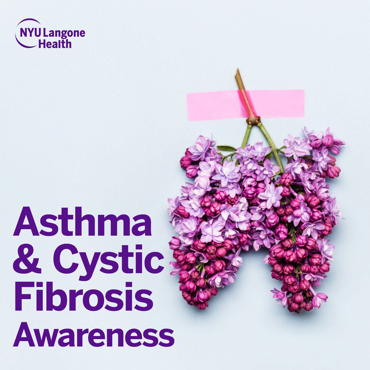 This month we join respiratory organizations around the country in raising awareness for the prevention and treatment of both #Asthma and #cysticfibrosis!

#pulmonary #lungdisease #CFwarrior