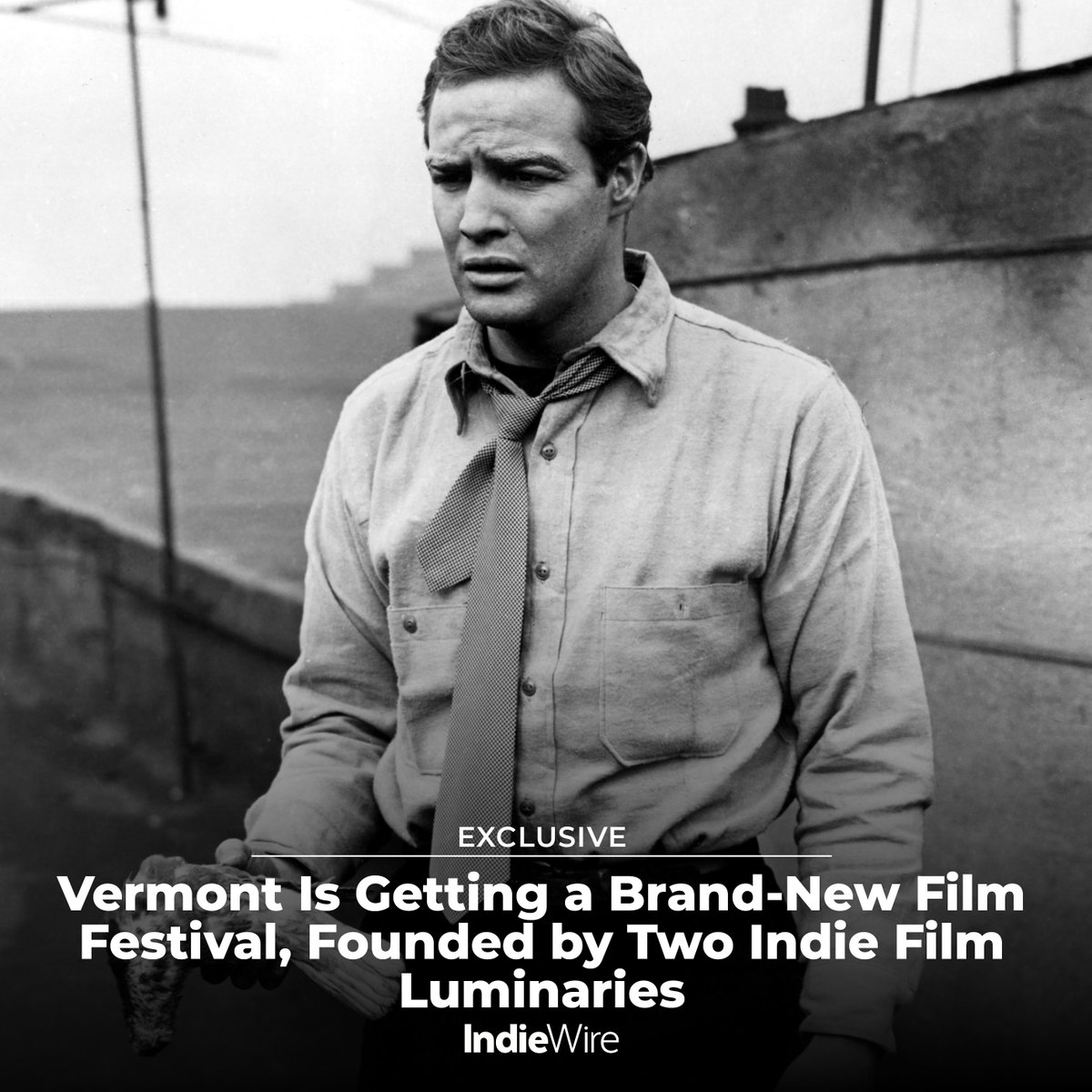IndieWire tweet media