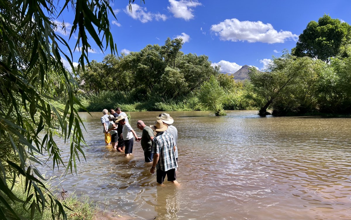 Bobby Brewer tweet media