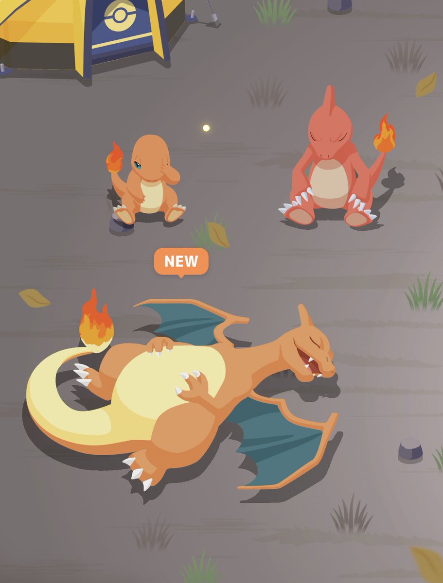 ・ω・atchan tweet media