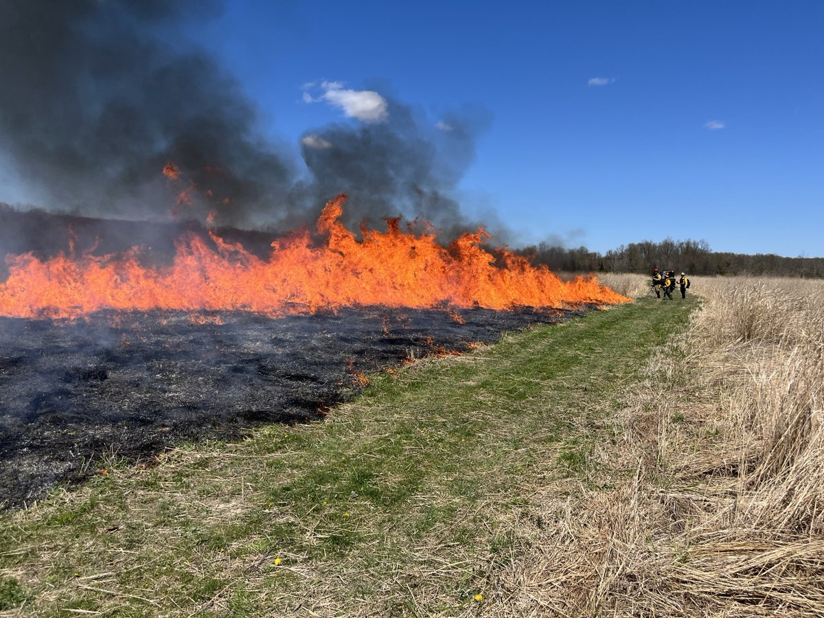 Last week, fire personnel completed a 234-acre #rxfire at Shawangunk Grasslands NWR in NY. The #rxburn will help maintain grassland and forest health while also reducing fuel load, which will protect surrounding private property. Thanks to all our #partners for their assistance