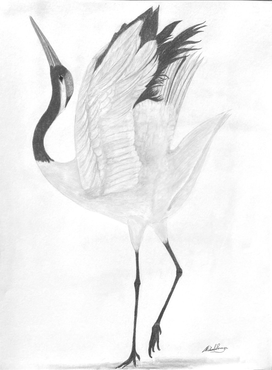 Red Top Japanese Crane
Attraction and Distraction
Male and female Red Top Japanese Crane doing their mating dance.
I see one as an ATTRACTION and the other as a DISTRACTION.
I’ll leave it up to you to decide which is which????
Enjoy.